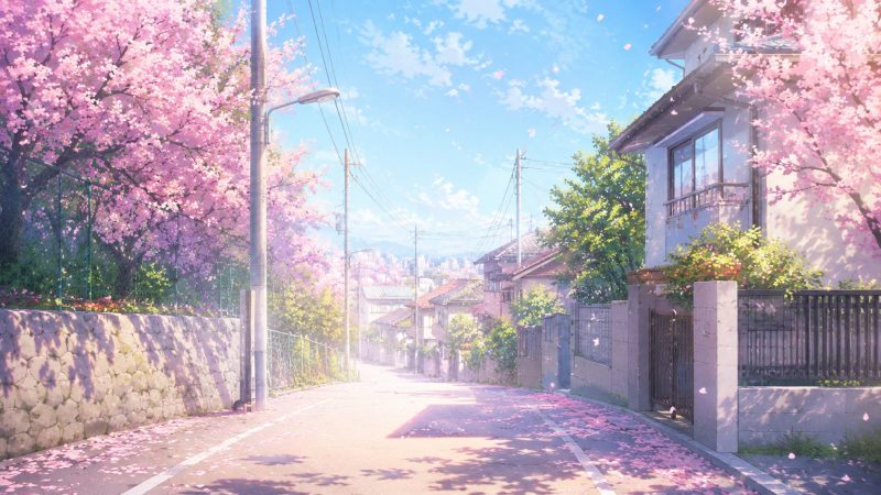 春風の通学路